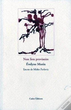 Capa do artigo Non Lieu Provisoire