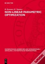 Non-Linear Parametric Optimization