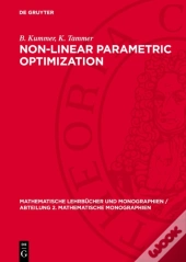 Non-Linear Parametric Optimization