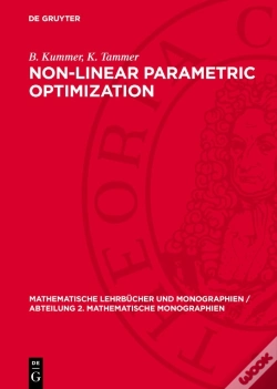 Capa do artigo Non-Linear Parametric Optimization