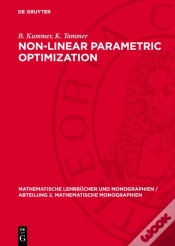 Capa do artigo Non-Linear Parametric Optimization
