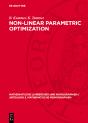 Non-Linear Parametric Optimization - Preview