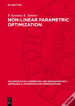 Capa do artigo Non-Linear Parametric Optimization