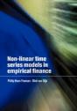 Non-Linear Time Series Models In Empirical Finance - Preview