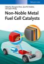 Non-Noble Metal Fuel Cell Catalysts - Preview