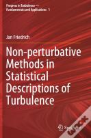 Non-Perturbative Methods In Statistical Descriptions Of Turbulence