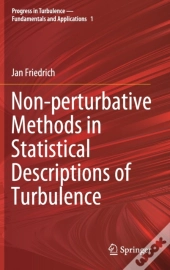 Non-Perturbative Methods In Statistical Descriptions Of Turbulence