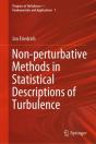 Non-Perturbative Methods In Statistical Descriptions Of Turbulence - Preview