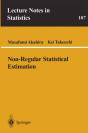 Non-Regular Statistical Estimation - Preview