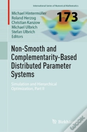 Capa do artigo Non-Smooth And Complementarity-Based Distributed Parameter Systems