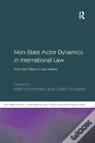 Non-State Actor Dynamics In International Law