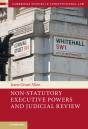 Non-Statutory Executive Powers And Judicial Review - Preview