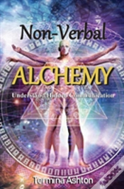 Capa do artigo Non-Verbal Alchemy