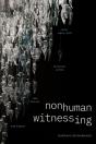 Nonhuman Witnessing - Preview