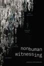 Nonhuman Witnessing - Preview