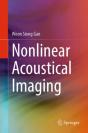 Nonlinear Acoustical Imaging - Preview