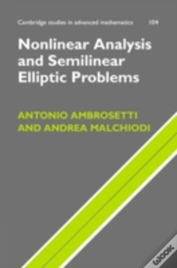 Capa do artigo Nonlinear Analysis And Semilinear Elliptic Problems