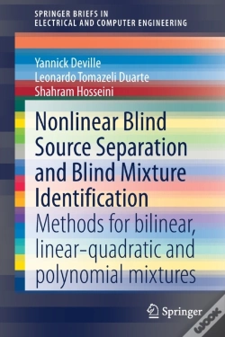 Capa do artigo Nonlinear Blind Source Separation And Blind Mixture Identification
