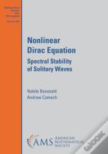 Nonlinear Dirac Equation