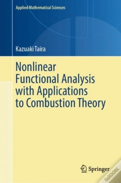 Capa do artigo Nonlinear Functional Analysis With Applications To Combustion Theory