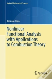 Capa do artigo Nonlinear Functional Analysis With Applications To Combustion Theory