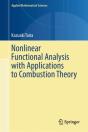 Nonlinear Functional Analysis With Applications To Combustion Theory - Preview