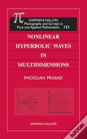 Capa do artigo Nonlinear Hyperbolic Waves In Multidimensions