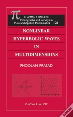 Capa do artigo Nonlinear Hyperbolic Waves In Multidimensions