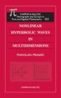 Nonlinear Hyperbolic Waves In Multidimensions - Preview