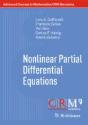 Nonlinear Partial Differential Equations - Preview