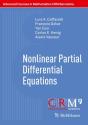Nonlinear Partial Differential Equations - Preview