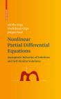 Nonlinear Partial Differential Equations - Preview