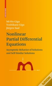 Capa do artigo Nonlinear Partial Differential Equations