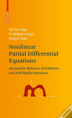 Capa do artigo Nonlinear Partial Differential Equations