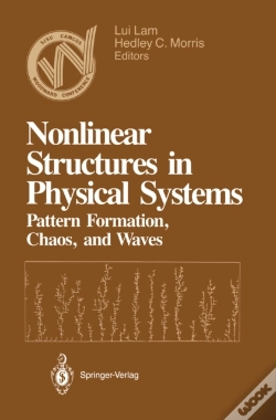 Capa do artigo Nonlinear Structures In Physical Systems