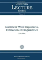 Nonlinear Wave Equations, Formation Of Singularities - Preview