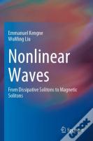 Nonlinear Waves