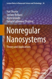 Capa do artigo Nonregular Nanosystems