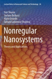 Capa do artigo Nonregular Nanosystems