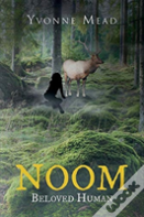 Noom