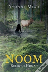Noom