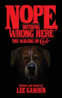 Nope, Nothing Wrong Here - Preview