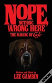 Capa do artigo Nope, Nothing Wrong Here