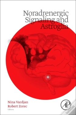 Capa do artigo Noradrenergic Signaling And Astroglia