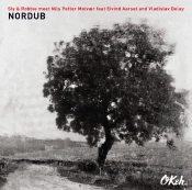 Capa do artigo Nordub - Vinil