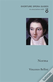 Capa do artigo Norma