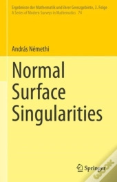 Normal Surface Singularities