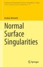 Normal Surface Singularities - Preview