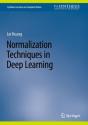Normalization Techniques In Deep Learning - Preview
