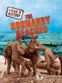 Normandy Beaches - Preview